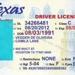 28 Drivers License Template Free | Robertbathurst Regarding with regard to Blank Drivers License Template