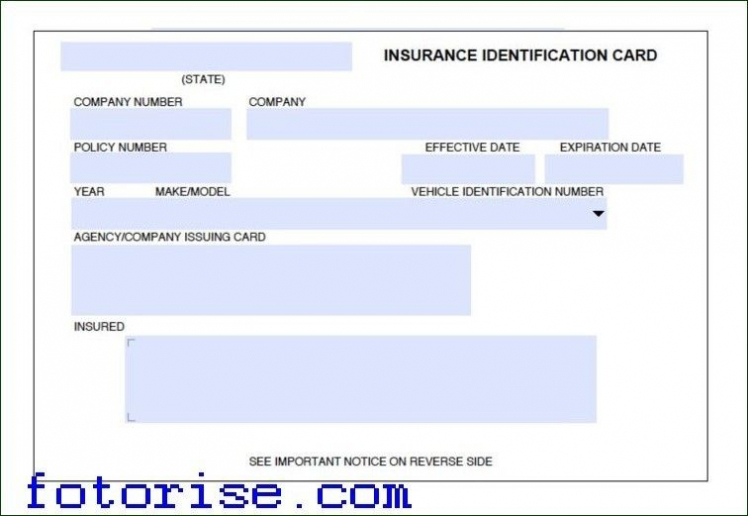 Car Insurance Card Template Download Fotorise Intended For in Car Insurance Card Template Download