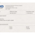 Fake Geico Insurance Card Template Stoatmusic In Insurance intended for Fake Auto Insurance Card Template Download