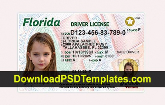Florida Driver License Psd Template New | Id Card Template intended for Florida Id Card Template