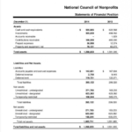 Non Profit Monthly Financial Report Template (8) - Templates for Monthly Financial Report Template