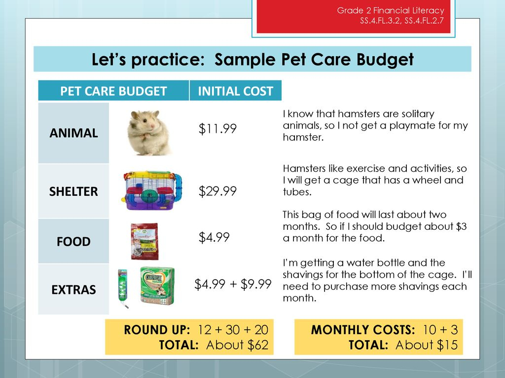 Budgeting for new Pet Gr With Animal Rescue Budget Template