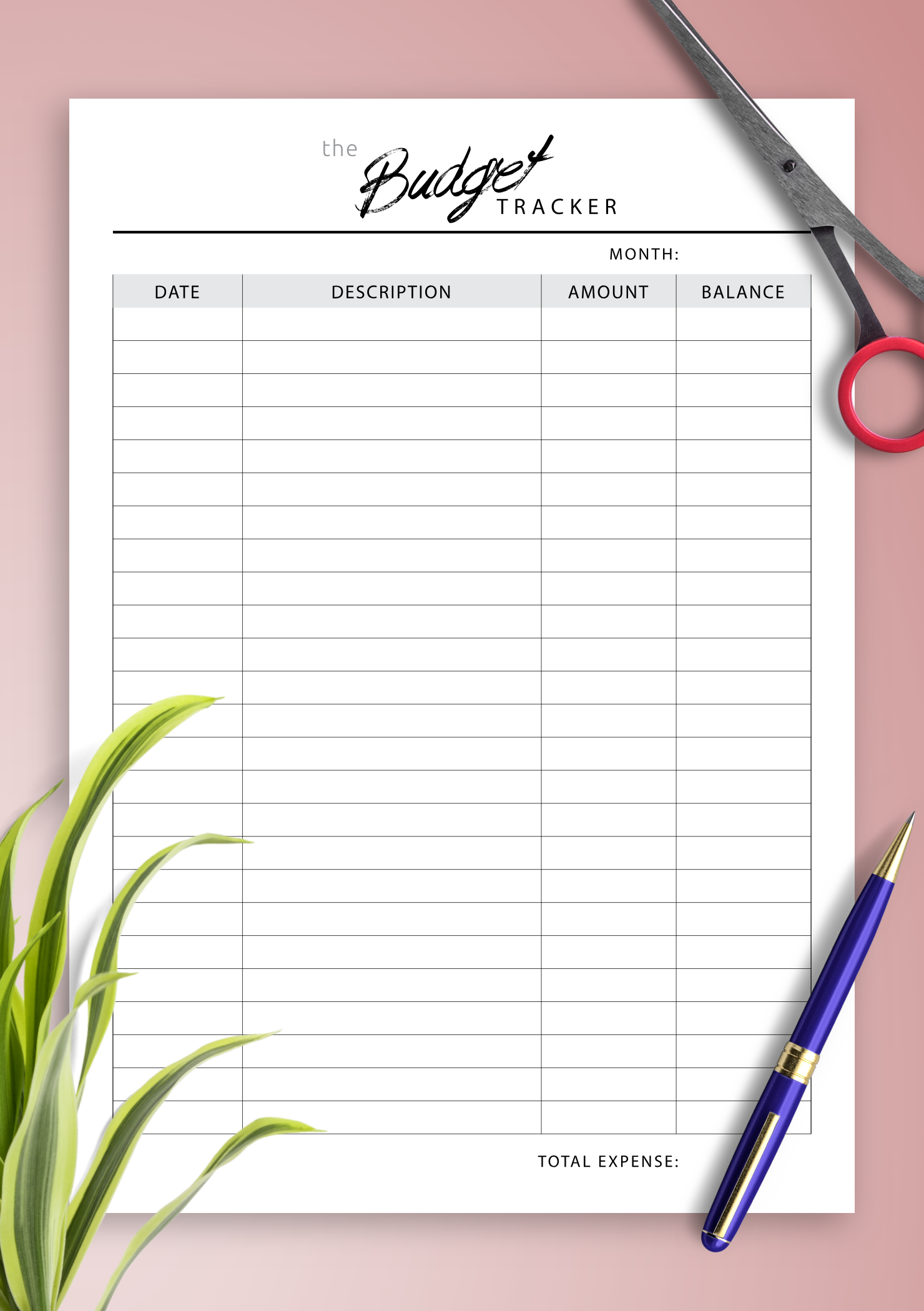 Download Printable Monthly budget tracker PDF Regarding Monthly Expenses Tracking Budget Template Inside Monthly Expenses Tracking Budget Template